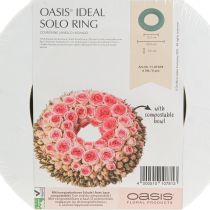 Produkt OASIS® Wianek z pianki florystycznej, pierścień, zielony, wys. 3 cm, Ø25 cm, 6 szt.