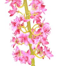 Produkt Świeca stepowa Desert Tail Pink 106cm