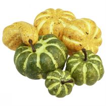 Produkt Dekoracja rozproszona dekoracja jesienna dynie żółtozielona Ø2–4,5cm 12 szt