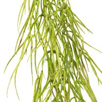 Produkt Sukulent wiszący zielony 145cm