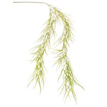 Produkt Sukulent wiszący zielony 145cm