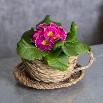 Produkt Koszyk na filiżanki do herbaty, naturalny element wystroju domu i urokliwy nastrój, 15 cm