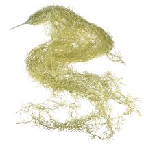 Produkt Tillandsia dekoracyjna zawieszka Tillandsia sztuczna zieleń biała 180cm