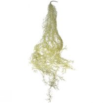 Produkt Tillandsia dekoracyjna zawieszka Tillandsia sztuczna zieleń biała 180cm