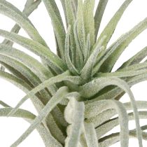 Produkt Tillandsia sukulent sztuczne rośliny zielone 13cm