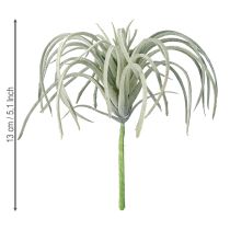 Produkt Tillandsia sukulent sztuczne rośliny zielone 13cm