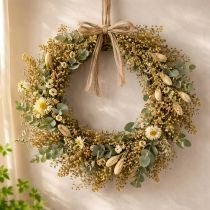 Produkt Suszone kwiaty Broom Bloom Oliwkowo-zielony 160g 48cm