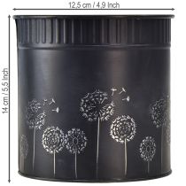 Produkt Doniczka z mniszkiem lekarskim, czarna, Ø12,5cm, wys.14cm