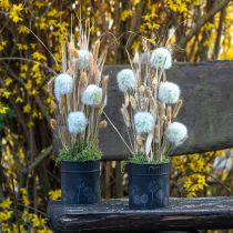 Produkt Doniczka Dandelion Flowerpot Czarna Ø15,5cm H15,5cm