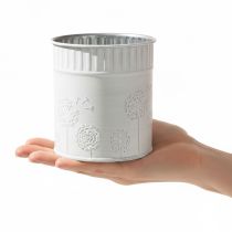 Produkt Doniczka z mniszkiem lekarskim, biała, Ø9,5cm, wys.11cm