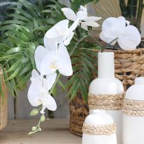 Produkt Biała orchidea sztuczna Phalaenopsis Real Touch H83cm