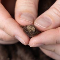 Produkt Puszysty wełniany sznurek Mirabell, brązowy, 25 m dekoracyjna wstążka do florystyki i rękodzieła