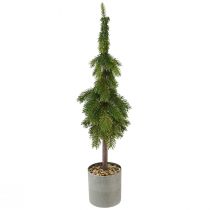Produkt Jodła szpiczasta w doniczce sztuczna choinka Ø12cm W70cm