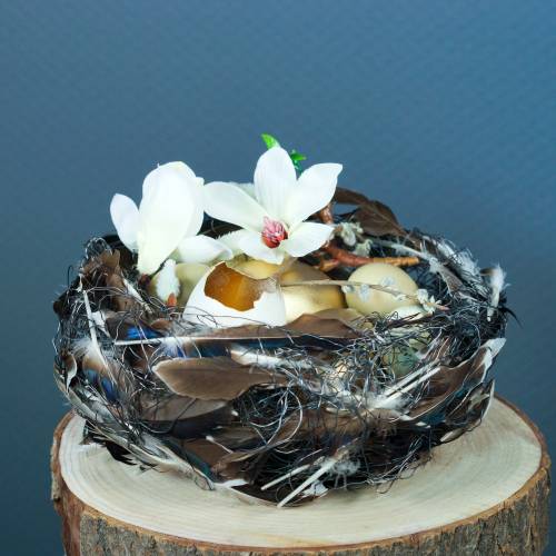 Floristik24 Magnolia Biała 51cm 3szt.