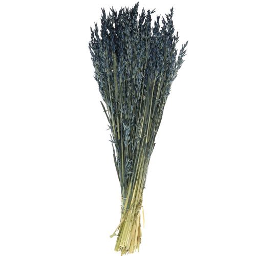 Produkt Suszone kwiaty, owies suszony ziarno dekoracja niebieska 68cm 230g