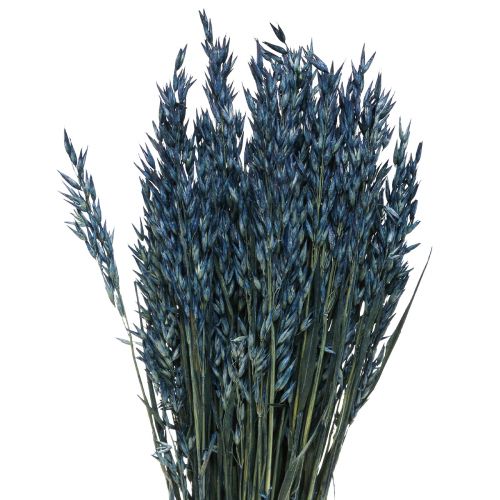 Produkt Suszone kwiaty, owies, suszone ziarno, dekoracja niebieska 68cm 230g