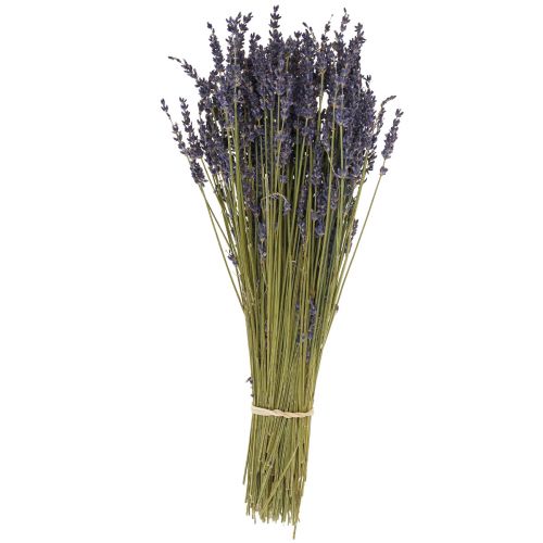 Floristik24 Bukiet Suszonej Lawendy, Suszony Kwiat Lawendy Niebieski 38–40 cm 90g