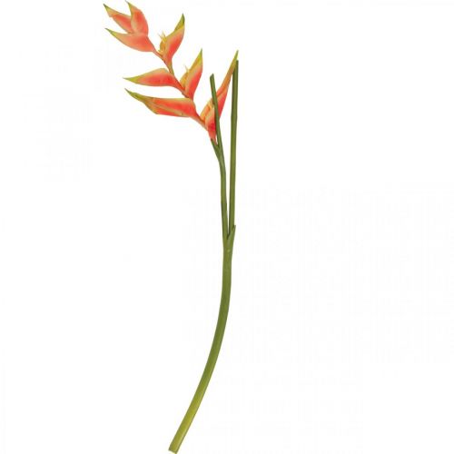 Floristik24 Sztuczne kwiaty Heliconia egzotyczne różowe, zielone W103cm