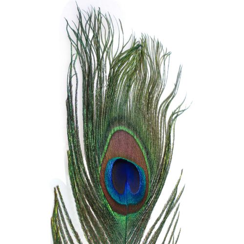 Pawie pióra ozdobne pióra do wyrobu ptasich piór W78cm 10 sztuk