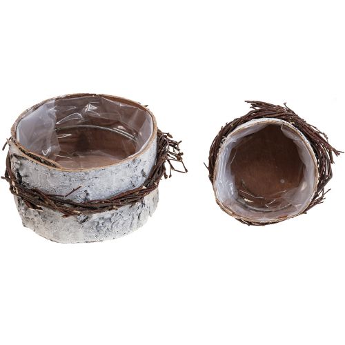 Produkt Sadzarka drewno brzoza drewno brzoza doniczka biała Ø11/16cm zestaw 2 szt