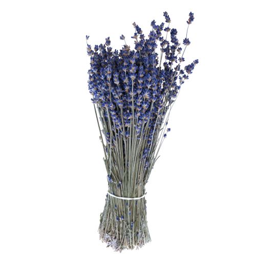 Suszona Lawenda Bukiet Suszonych Kwiatów Niebieski 25cm 75g
