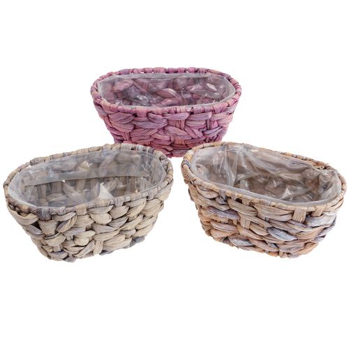 Produkt Kosz na rośliny Kosz na trawę morską Sadzarka do hiacyntu wodnego owalny 20,5cm 3 szt