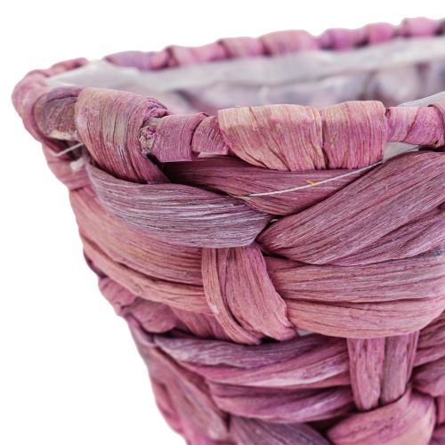 Produkt Kosz na rośliny Kosz na trawę morską Sadzarka do hiacyntu wodnego owalny 20,5cm 3 szt