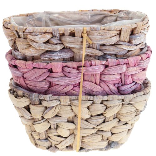 Produkt Kosz na rośliny Kosz na trawę morską Sadzarka do hiacyntu wodnego owalny 20,5cm 3 szt