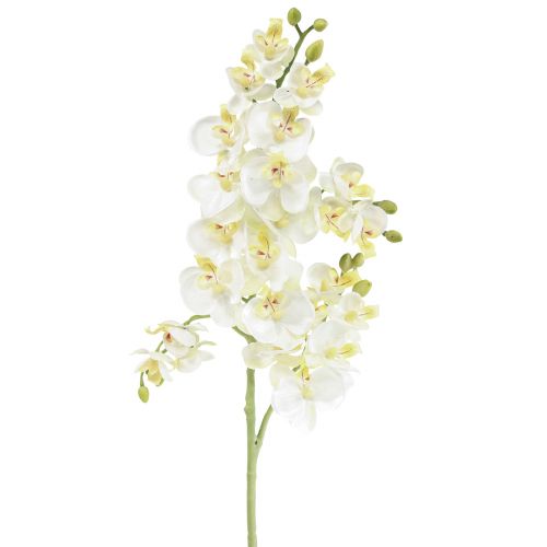 Floristik24 Phalaenopsis Sztuczne Storczyki Sztuczne Kwiaty Białe 70cm