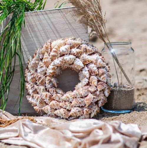 Floristik24 Deco wieniec ślimaki Morska dekoracja na drzwi wieniec ślimaki morskie Ø25cm