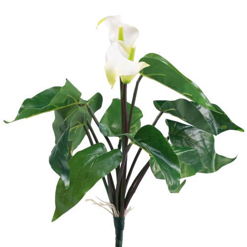 Floristik24 Calla Lily Kalla Sztuczne Kwiaty Białe Egzotyczne Kwiaty 34cm