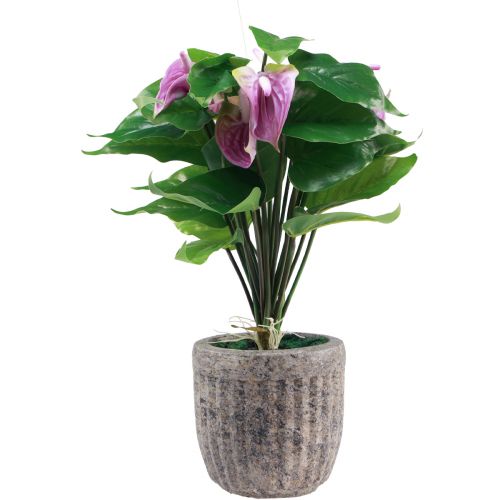 Floristik24 Sztuczne kwiaty sztuczne anturium sztuczne rośliny w doniczce 41cm