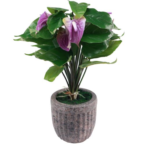 Floristik24 Sztuczne kwiaty sztuczne anturium sztuczne rośliny w doniczce 41cm