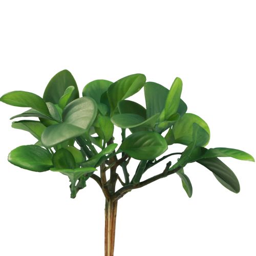 Produkt Sztuczna roślina zielona soczysta sztuczna zieleń W14cm