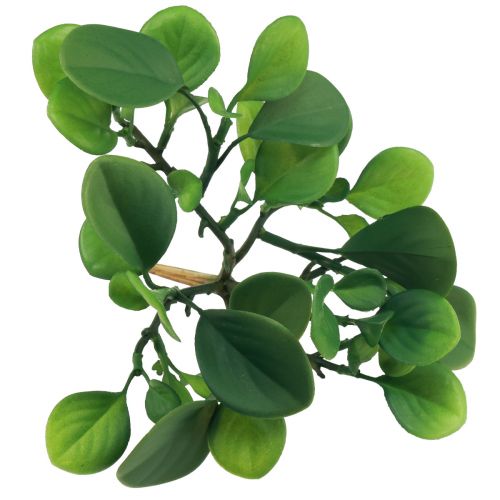 Produkt Sztuczna roślina zielona soczysta sztuczna zieleń W14cm