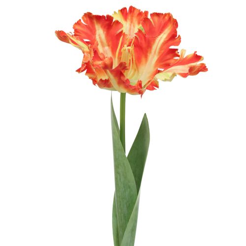 Floristik24 Sztuczny kwiat papuga tulipan Sztuczny tulipan pomarańczowy 69cm