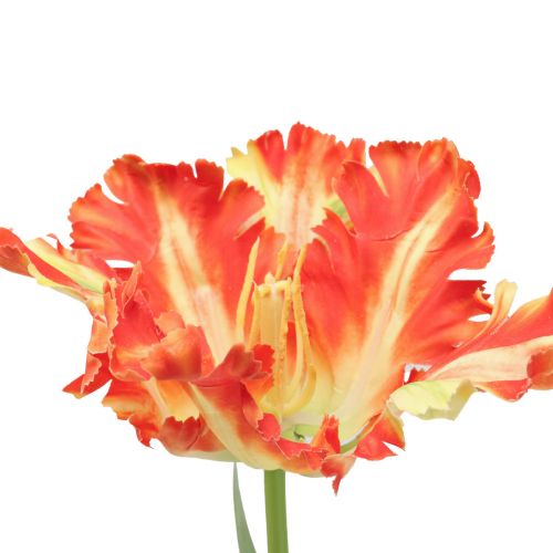 Produkt Sztuczny kwiat papuga tulipan Sztuczny tulipan pomarańczowy 69cm