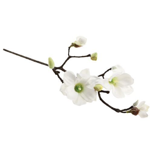 Floristik24 Sztuczny kwiat magnolia gałązka magnolia sztuczna biała 58cm 3szt