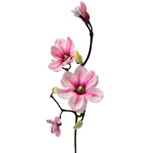 Floristik24 Sztuczny kwiat gałązka magnolii magnolia sztuczny różowy 59cm