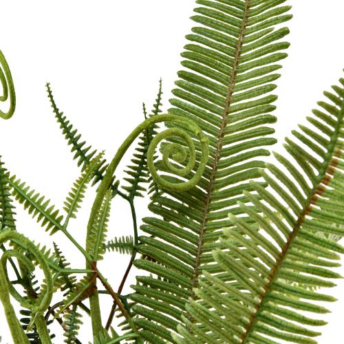 Produkt Sztuczna roślina Sztuczna paproć zielona 55cm