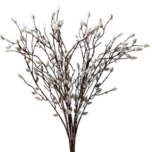 Floristik24 Sztuczne kotki wierzby dekoracja 73cm 4 sztuki