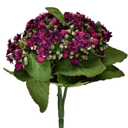 Floristik24 Płonący Käthchen Kalanchoe sztuczny fiolet 24cm