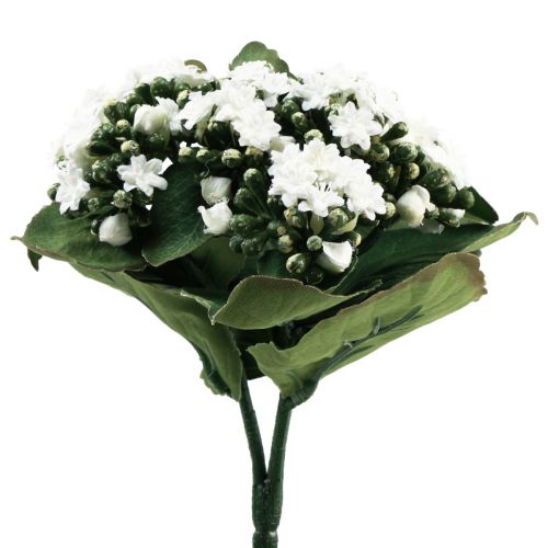 Floristik24 Sztuczne Kalanchoe Flaming Käthchen White 24cm