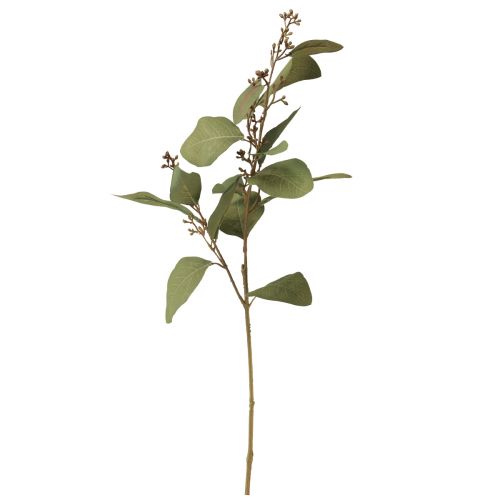 Floristik24 Gałąź eukaliptusa sztuczna gałązka ozdobna zielona 60cm