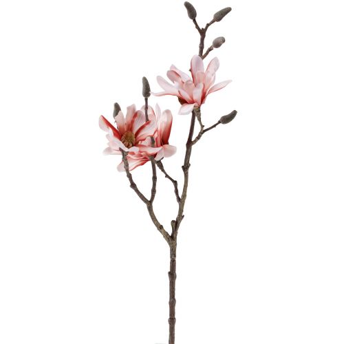 Floristik24 Gałąź magnolii magnolia sztuczny łosoś 58cm