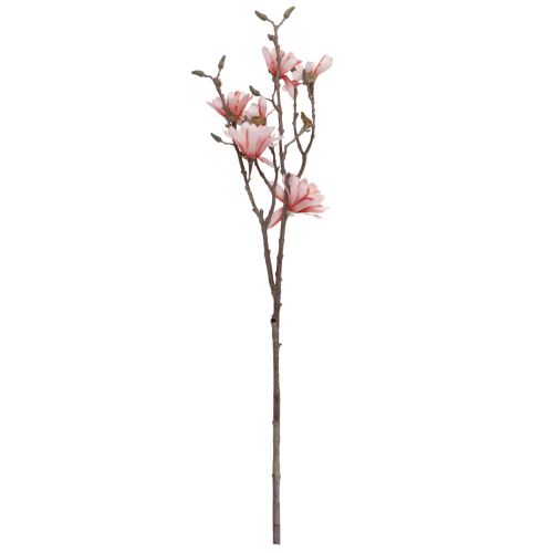Floristik24 Gałąź magnolii z 6 kwiatami sztuczny łosoś magnoliowy 84cm