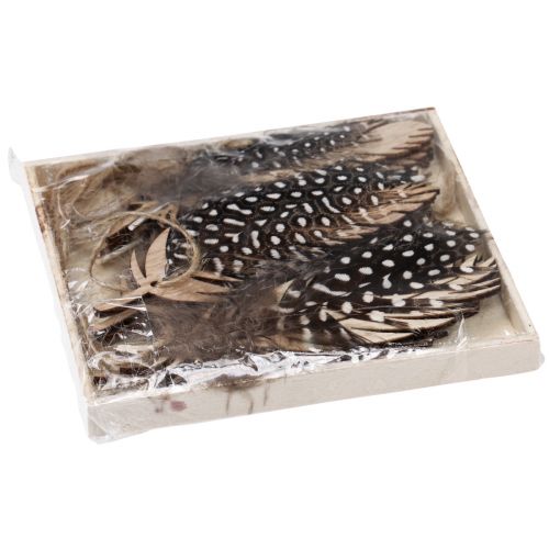 Produkt Dekoracyjna zawieszka z piórkiem drewniana z piórkiem naturalnym 9,5/10cm 9 szt