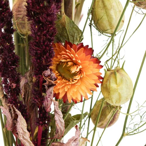 Floristik24 Bukiet suszonych kwiatów kwiaty słomy pomarańczowo-fioletowe 55cm 70g