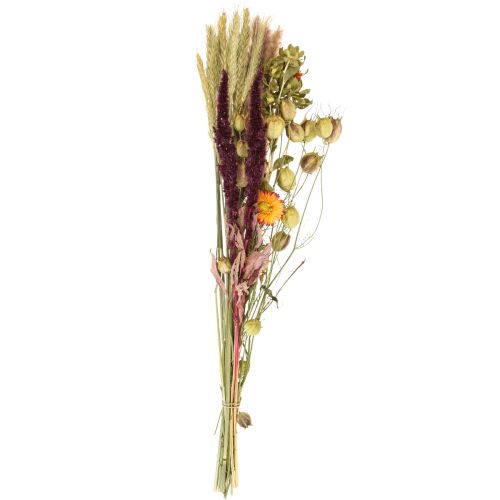 Floristik24 Bukiet suszonych kwiatów kwiaty słomy pomarańczowo-fioletowe 55cm 70g