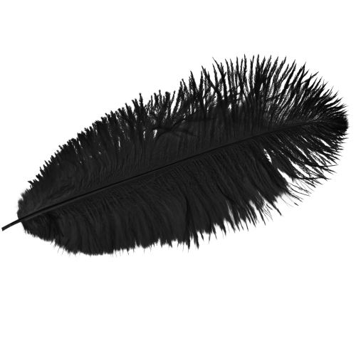 Ozdoba ze strusich piór czarne piórka 32-35cm 4 szt